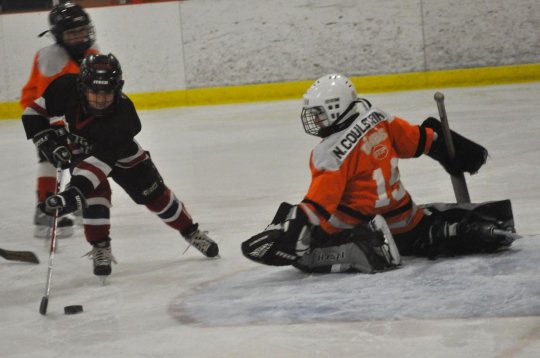 Yarmouth County Minor Hockey Association powered by GOALLINE.ca